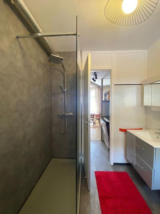 Apartment La Mongie - T2 4 A 6 Personnes, 45m2 Face Aux Pistes *